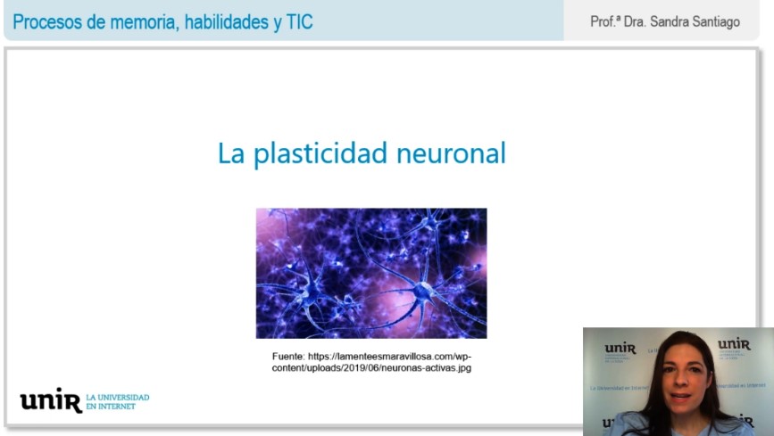 La-plasticidad-neuronal