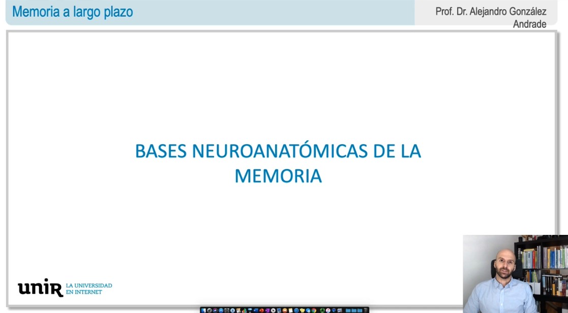 Bases-neuroanatomicas-de-la-memoria