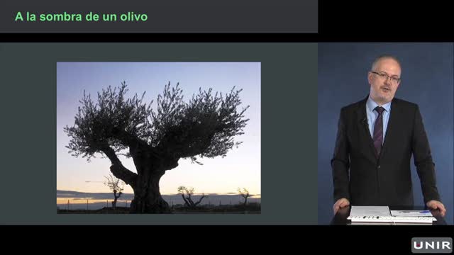 A-la-sombra-de-un-olivo