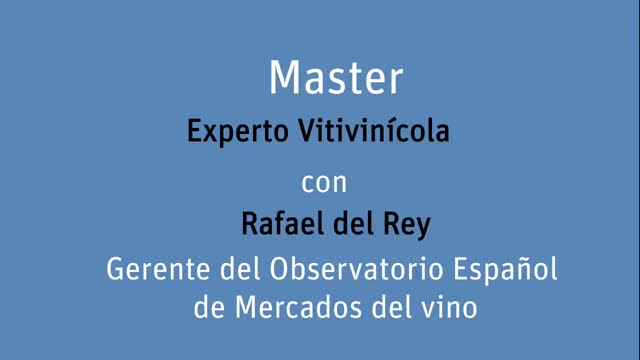 Experto-Vitivinicola---Entrevista-a-Rafael-del-Rey-parte-1