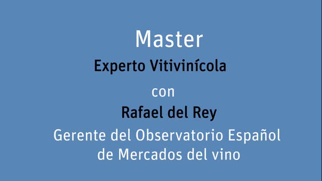 Experto-Vitivinicola---Entrevista-a-Rafael-del-Rey-parte-2