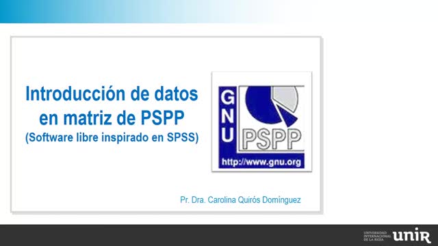 Introduccion-de-datos-en-matriz-de-PSPP-Software-libre-inspirado-en-SPSS