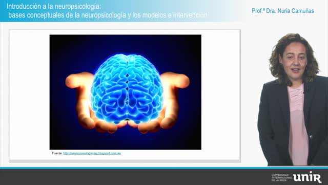 Introduccion-a-la-neuropsicologia-bases-conceptuales-de-la-neuropsicologia-y-los-modelos-de-intervencion