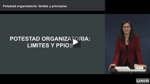 Potestad-organizatoria-Limites-y-principios